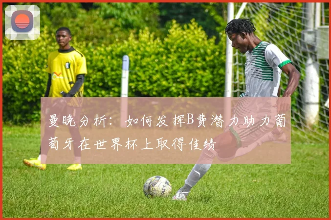 曼晚分析：如何发挥B费潜力助力葡萄牙在世界杯上取得佳绩