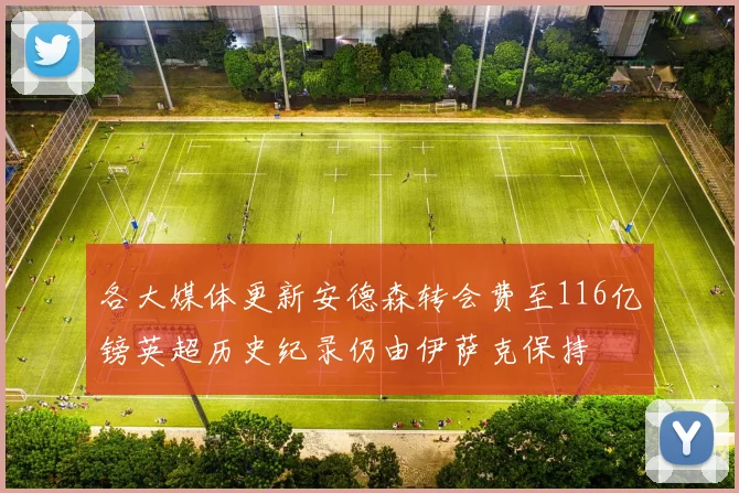 各大媒体更新安德森转会费至116亿镑英超历史纪录仍由伊萨克保持