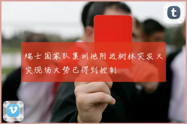 瑞士国家队集训地附近树林突发火灾现场火势已得到控制